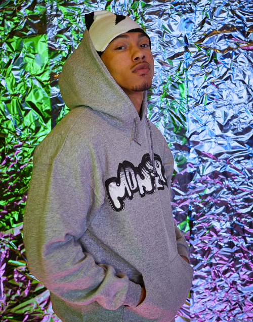 Evolution Monsters Grey Hoodie