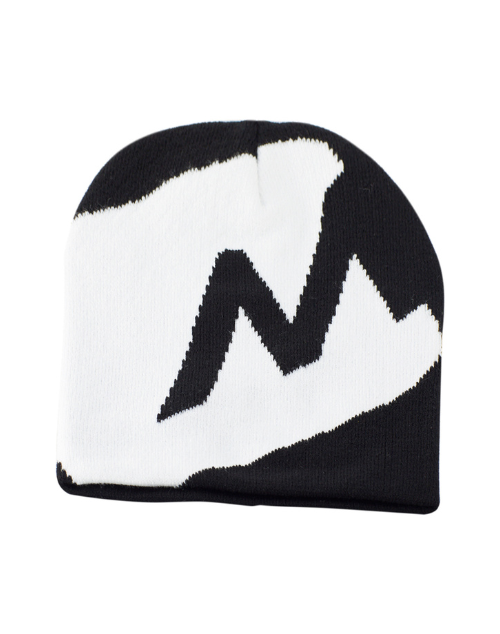 Evolution Beanie