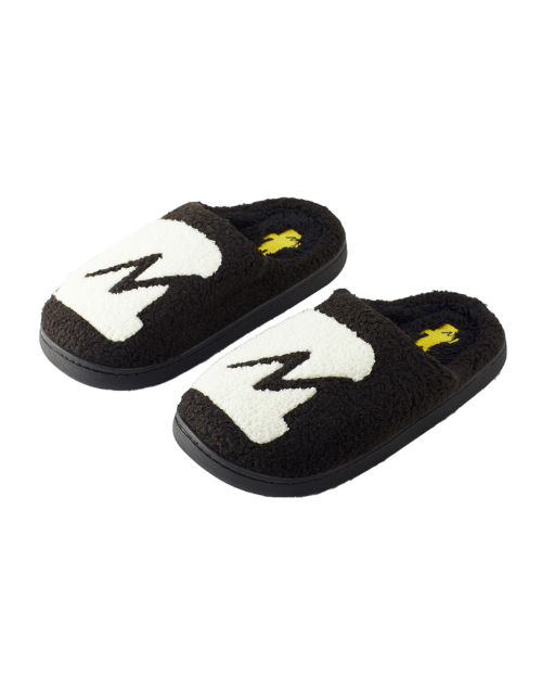 Evolution Slippers